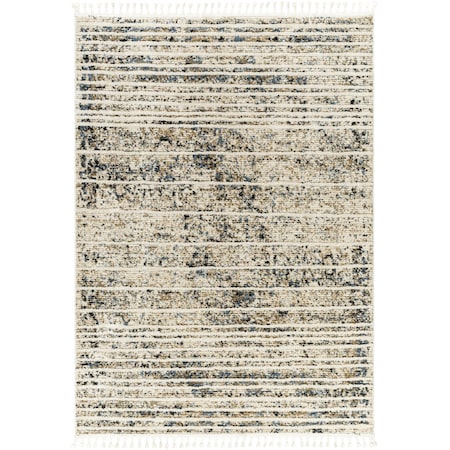 Rudy RDY-2301 Area Rug , With Fringe